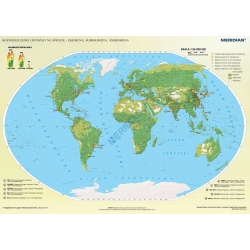 Świat rozmieszczenie ludności - ekumena, subekumena i anekumena - mapa ścienna