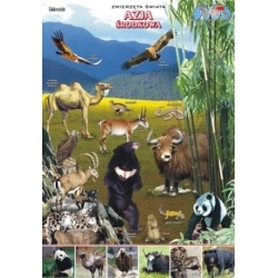 Azja Środkowa Zwierzęta